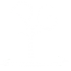 Logo PGF_Blanco2